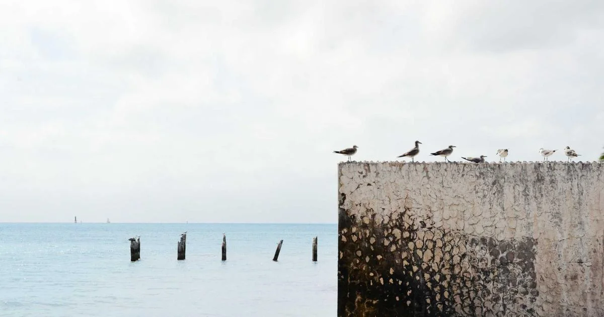 UNI 11648 vs PMP: differenze, costi e quale scegliere